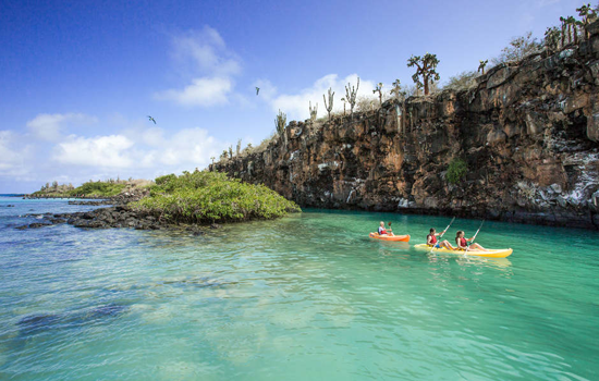 Tour to Tortuga Bay Beach by Boat and Kayak